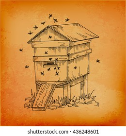 Honey. Beehive and honey. Bee hive, vector illustration.