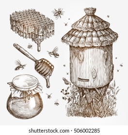 Honey, beekeeping, bees. Collection vintage sketch vector illustration