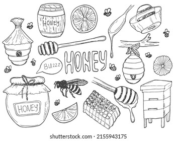 Honey and beekeeping collection. Doodle, outline illustration. Set of bee, honey jars, hive, flowers, honeycomb and honey spoons. Isolated hand drawn cartoon style vector illustration.