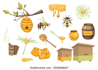Honey and beekeeping design elements set. Collection of bee, beehive, chamomile, barrel, jar, spoon, honeycomb, apiary, beekeeping smoker. Vector illustration isolated objects in flat cartoon style