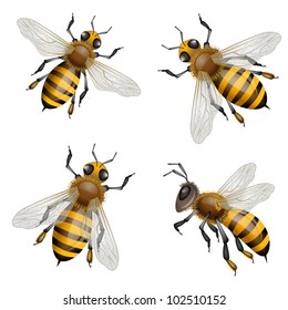 Set Bumblebees Isolated On White Background Stock Vector (Royalty Free ...