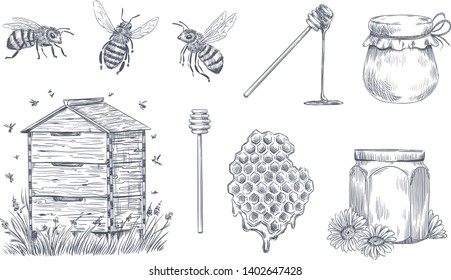 Honey bees engraving. Hand drawn beekeeping, vintage honey farm and honeyed bee pollen. Insect bee drawing, honeycomb and organic flower nectar jars. Vector illustration isolated icons set