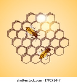 Honey bees and honeycomb background vector illustration