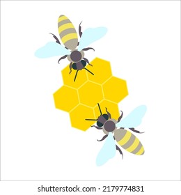 Honey bees with honeycomb. Vector illustration