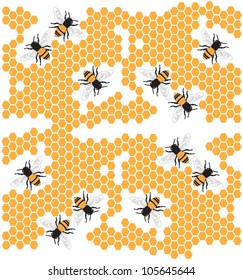 Honey bees and honeycombs
