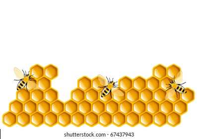 Honey bees and honeycombs