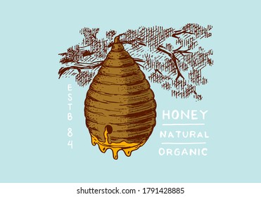 Honey and bees. Honeycombs and hive and apiary. Vintage logo for typography, shop or signboards. Badge for t-shirts. Hand Drawn engrave sketch. Vector illustration.