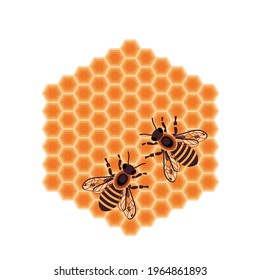 Honey bees inside beehive. Bees on honeycombs in hexagon shape. Beekeeping brand concept.