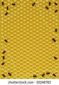 Honey bees moving around the hive - border or background