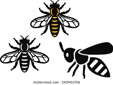 Honey Bees on White Background. Vector illustration
