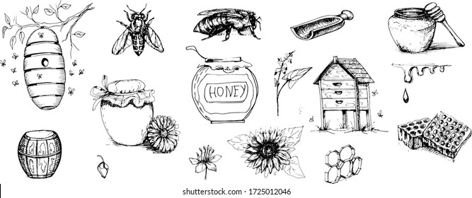 honey bees propolis set vector illustration. doodle sketch. hand drawn  graphics  