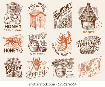 La miel y las abejas. Hombre apicultor y Honeycombs y colmena y colmenar. Logo vintage para tipografía, tienda o carteles. Insignia para camisetas. Esbozo grabado a mano. Ilustración vectorial.