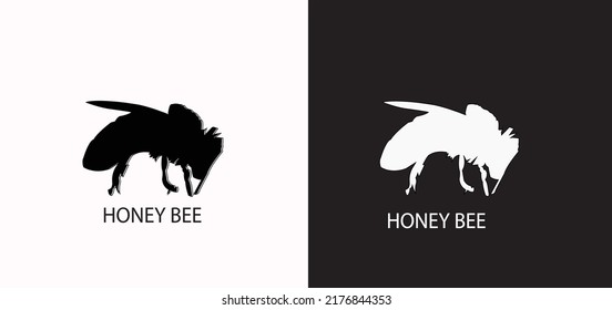 Honey bees are a type of bee that collects honey by jointly building a place to collect these animals vary in color and type