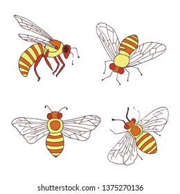 Honey Bees Vector Isolated Element  Set