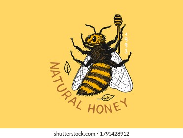 Honey and bees. Vintage logo for typography, shop or signboards. Badge for t-shirts. Hand Drawn engrave sketch. Vector illustration.