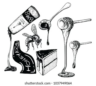 Honey, Cake and honey product vector by hand drawn on white backgrounds.