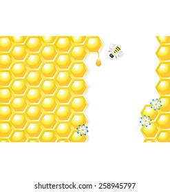 Honey cells, Honey Drop, Flowers and Bee - Vector Illustration