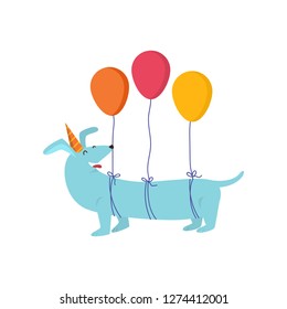 Honey cheerful orange dog is having fun and having a great time at a party.