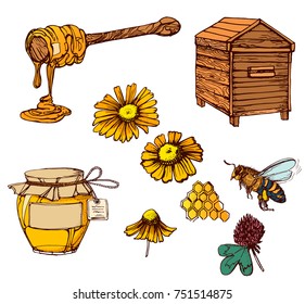 honey colored vector illustration isolated on white background, beehive , flower , clover, bee