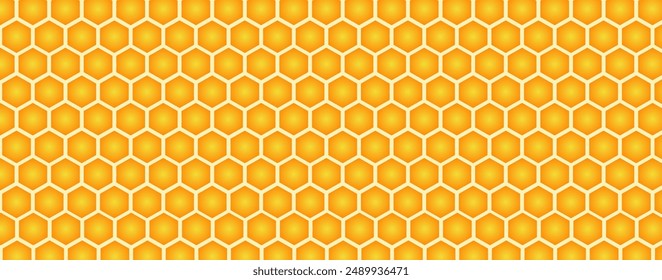 Honey comb background. vector illustration
