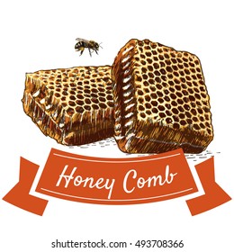 Honey comb colorful illustration. Vector colorful illustration of honey comb.