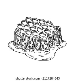 Honey comb hand drawn illustration in hatching style. Isolated vector.