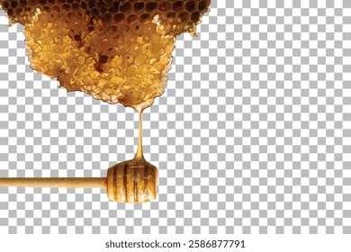 Honey Comb isolated on transparent background