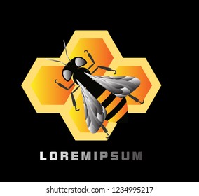 honey comb logo with deep philosophy for technology startup company. honey comb logo design has mean elegant, nature, technology and medical for company sign