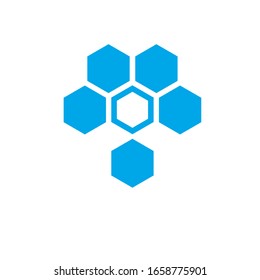 honey comb logo vector modern template