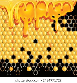 Honey with comb vector illustration, Black Background.