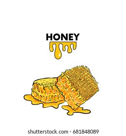 Honey combs. Realistic illustration with objects isolated on a white background.