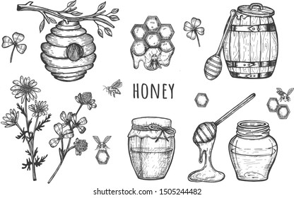 honey composition. Vector graphics. hand drawing