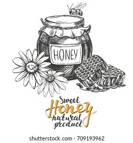 Honey. Design elements set. Detailed engraved. Vintage hand drawn vector illustration realistic sketch