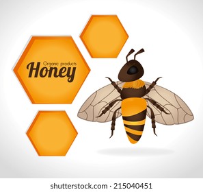 Honey design over white background, vector illustration