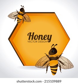 Honey design over white background, vector illustration