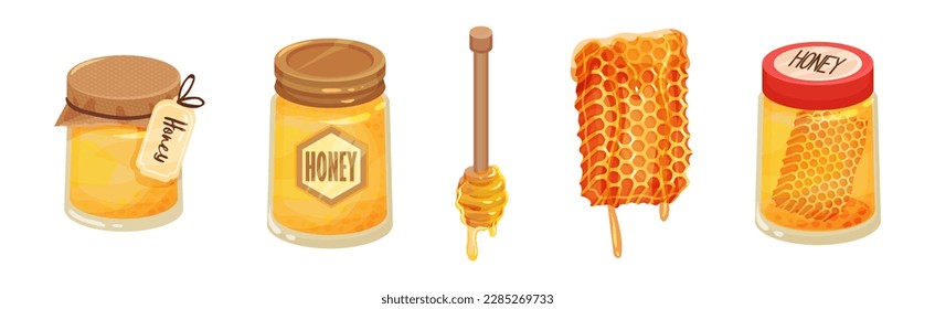 Honey with Dipper, Glass Jar and Honeycomb with Sticky Golden Nectar Vector Set