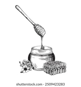 Honey Dipper with Honey, Hand-Drawn Vector, Graphic Style, Cartoon Illustration, Black and White, Sketch Style, Isolated on White Background