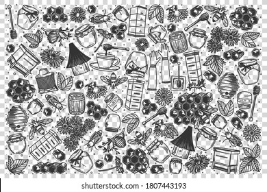 Honey doodle set. Collection of hand drawn sketches templates pattern of bee food product in pots on transparent background. Healthy eco natural sweet nutrition illustration.