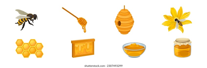 Honey with Dripping Sticky Nectar in Bowl and Honeycomb Vector Set