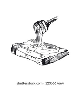 Honey dripping from wooden dipper. Vector sketches hand drawn illustration background. Flyer, booklet advertising and design.