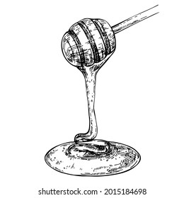 Honey is dripping from the wooden spoon. Sketch Graphic honey flowing. Inh hand drawn illustration.