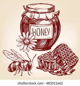 honey elements set hand drawn vector llustration realistic sketch