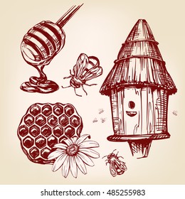 honey elements set hand drawn vector llustration realistic sketch