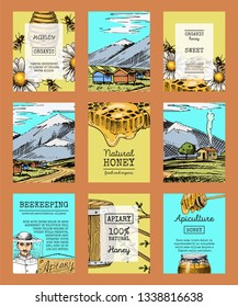 Honey farm cards waxing bee and beehive flyer. Poster organic honey and apiary, beehive and chamomile dessert nutrition vector illustration.