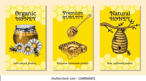 Honey farm cards waxing bee and beehive flyer. Poster organic honey and apiary, beehive and chamomile dessert nutrition vector illustration. Banner with hand drawn pictures apiary food industry.