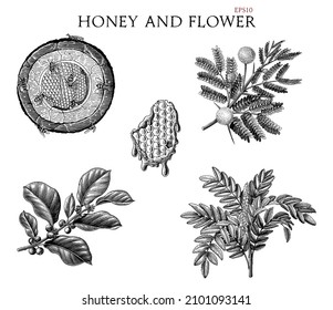 Honey and flower hand draw vintage engraving style black and white clipart isolated on white background