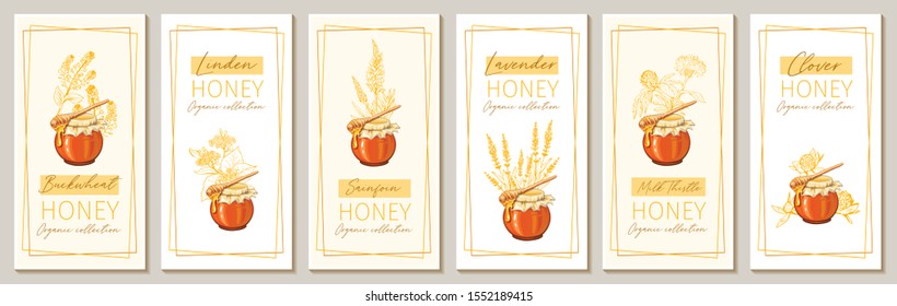 Honey flowers vintage vertical flyers design. Engraved Clover, Milk Thistle and Sainfoin plants with glass honey jar and drop. Hand drawn Lavender, Buckwheat orange logo templates set. Sketch banners