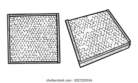 Honey frames with beeswax. Honeycombs in wax foundation and square wooden frame. Hand drawn vector illustration