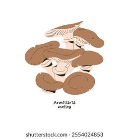 Honey fungus icon. Armillaria mellea with name. Group of small edible forest boletes. Organic boletus with cap. Woodland nature, fall harvest. Flat isolated vector illustration on white background