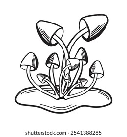 Honey fungus mushrooms sketch. Autumn forest harvest composition. Vector illustration hand drawn isolated. Ingredient for cooking raw food. Black and white fall arrangement. Clipart for print, card.